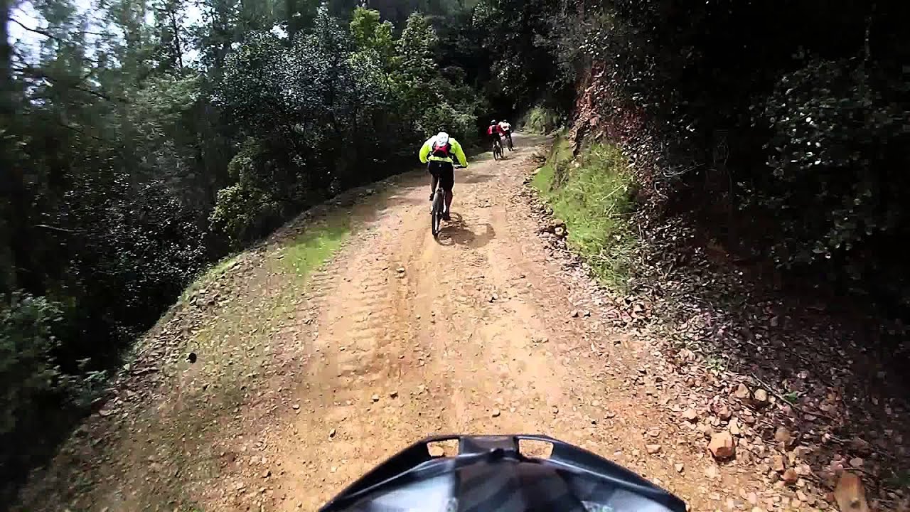 יער פאפוס – Paphos Forest
